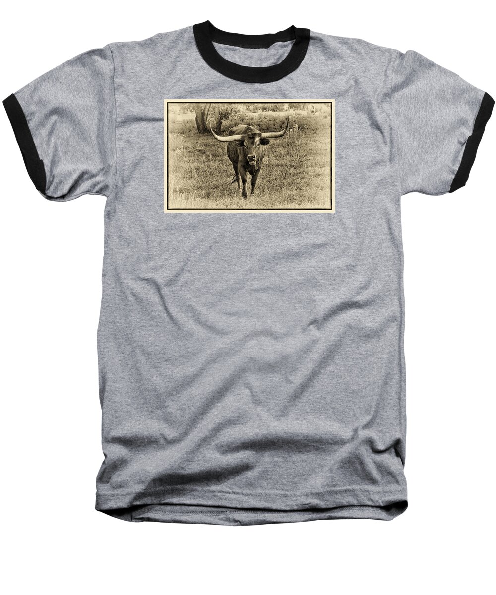 Longhorn Cattle Baseball T-Shirt featuring the photograph Eat Leaf Not Beef Sepia by Priscilla Burgers