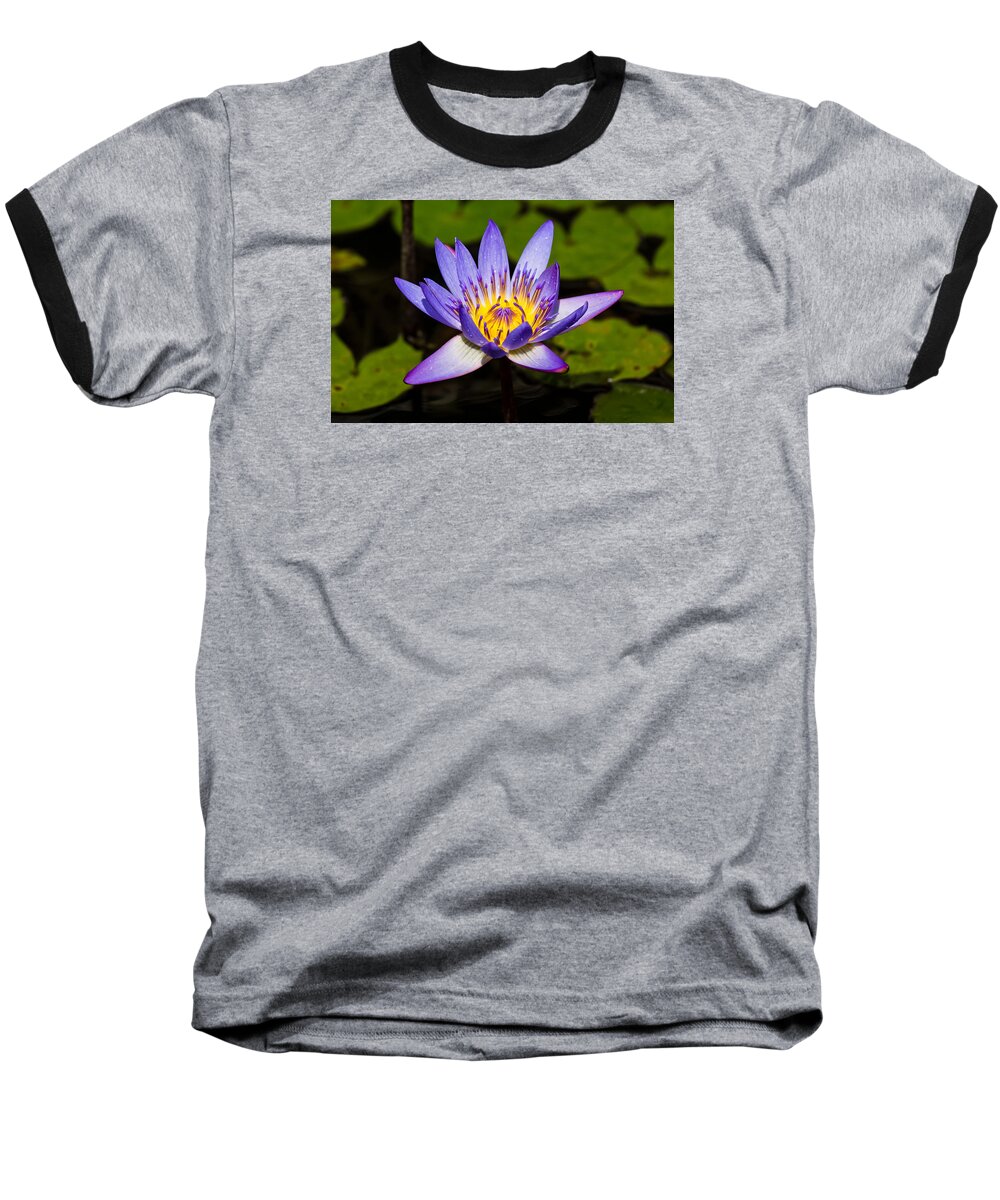 Egyptian Blue Baseball T-Shirt featuring the photograph Egyptian Blue water lily by Scott Carruthers