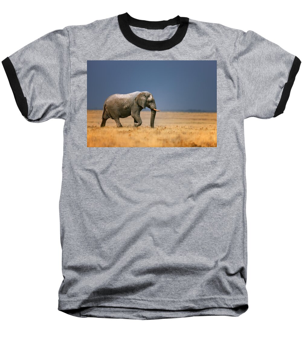 Walk Baseball T-Shirt featuring the photograph Elephant in grassfield by Johan Swanepoel