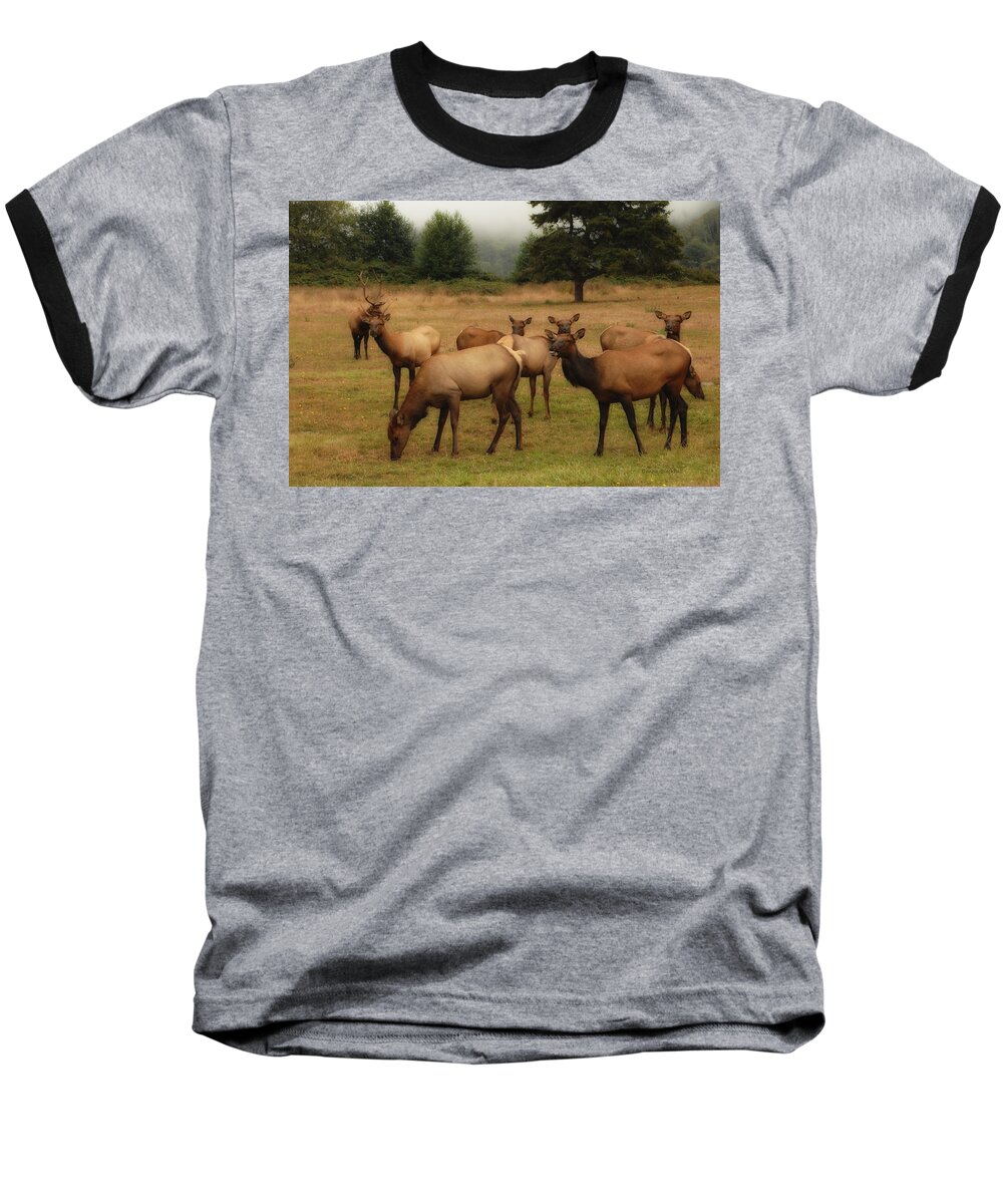 Elk Baseball T-Shirt featuring the photograph Elks Lodge by Donna Blackhall