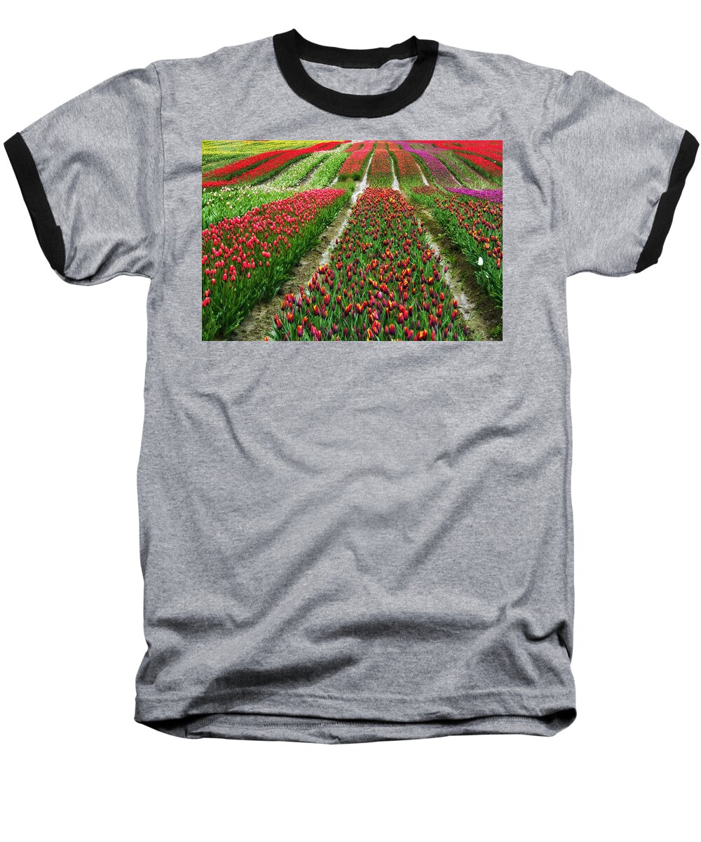 Monet Baseball T-Shirt featuring the photograph Endless waves of tulips by Eti Reid