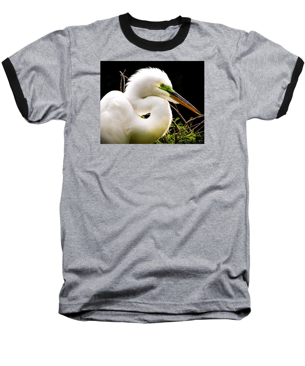 White Egrets Baseball T-Shirt featuring the photograph ESSENCE of BEAUTY by Karen Wiles