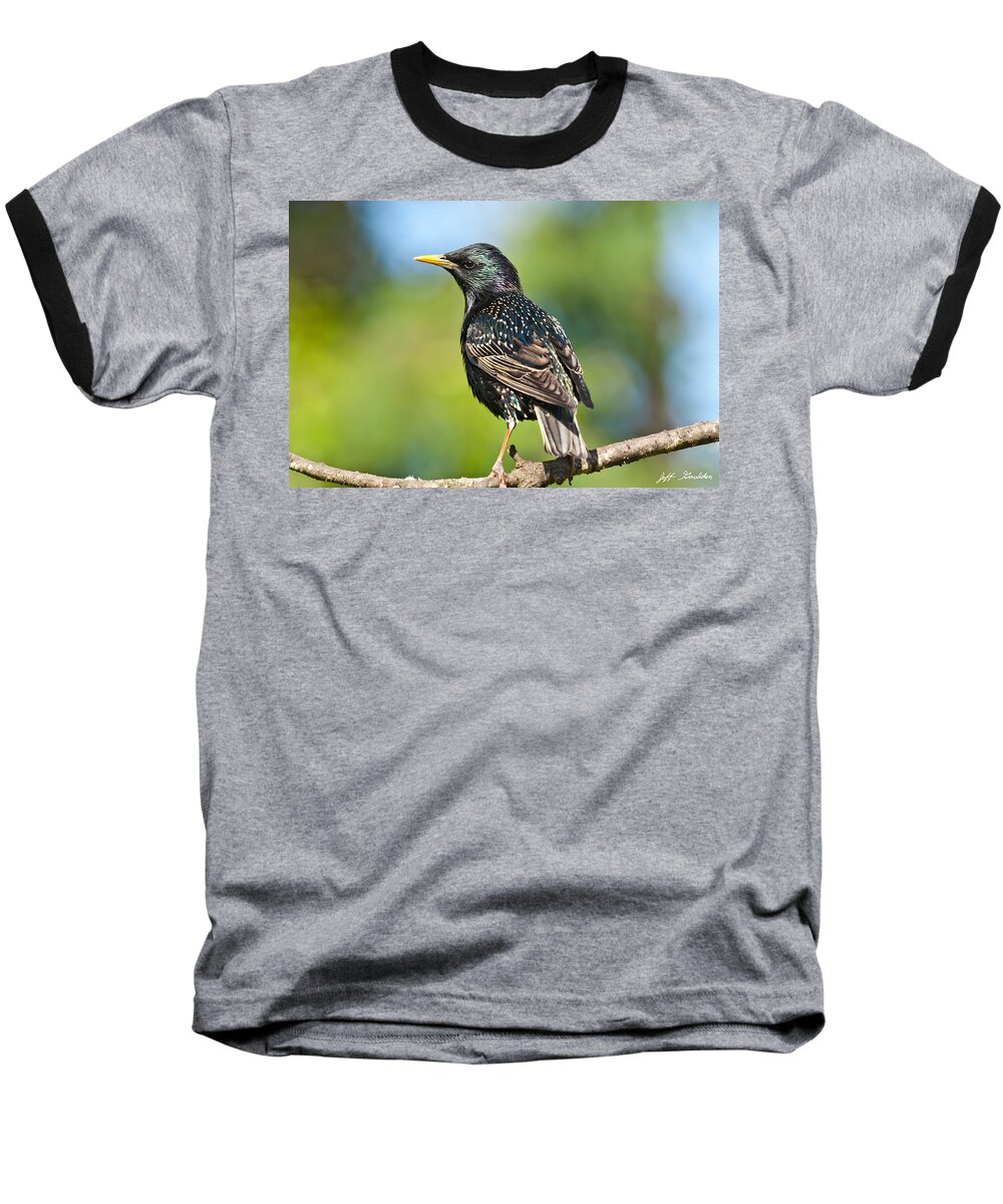 Animal Baseball T-Shirt featuring the photograph European Starling in a Tree by Jeff Goulden