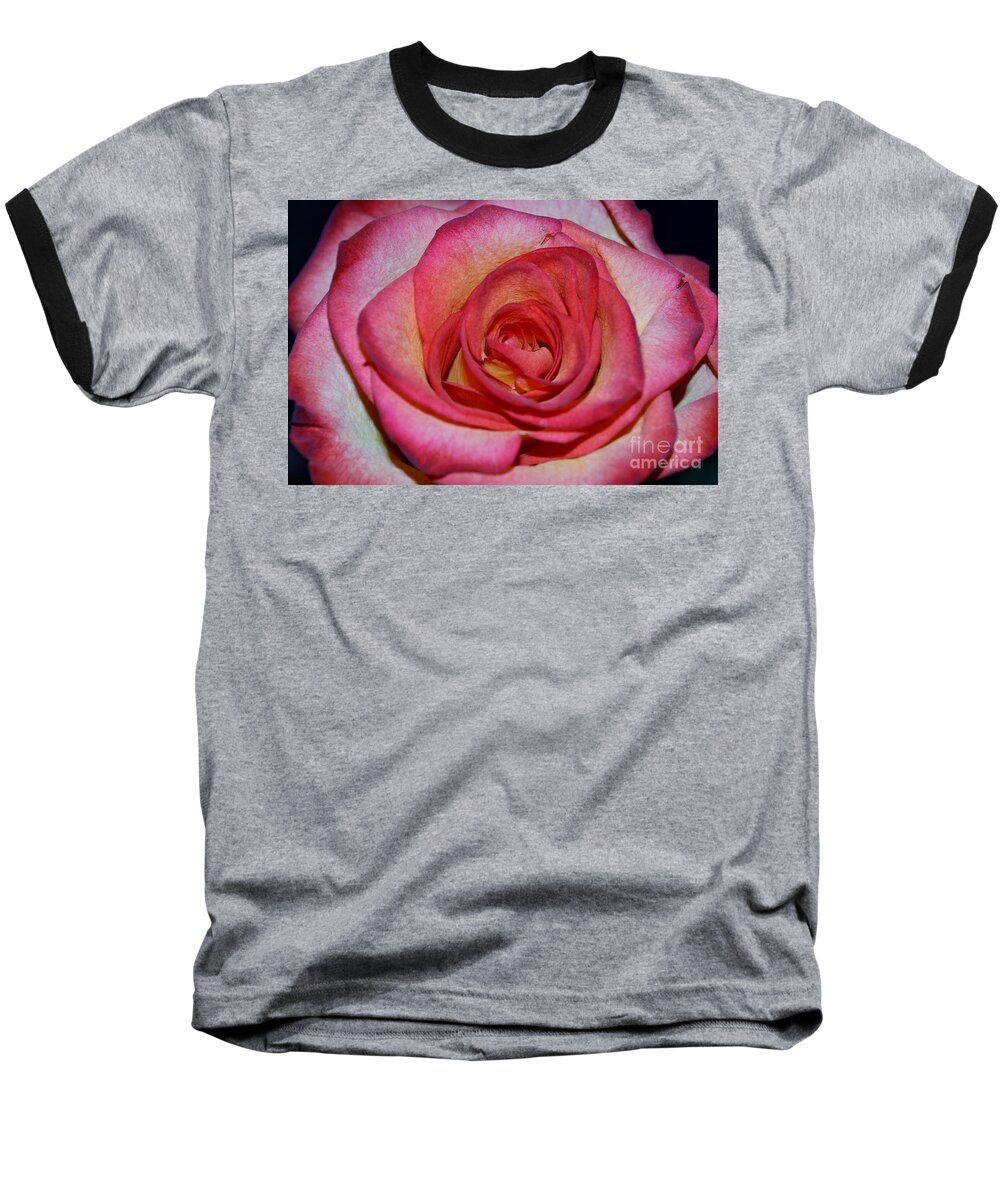 Rose Photographs Baseball T-Shirt featuring the photograph Event rose by Felicia Tica