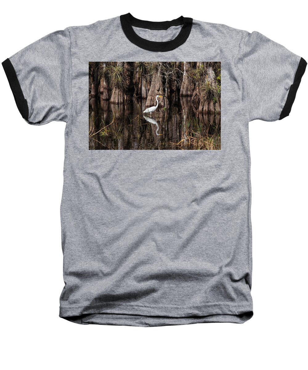 Everglades Baseball T-Shirt featuring the photograph Everglades0419 by Matthew Pace