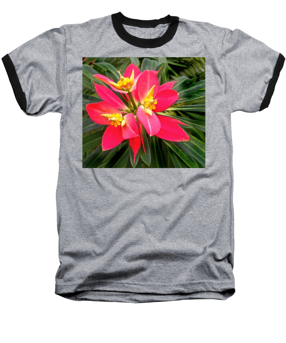 Beautiful Baseball T-Shirt featuring the photograph Exotic red flower by Joan Reese