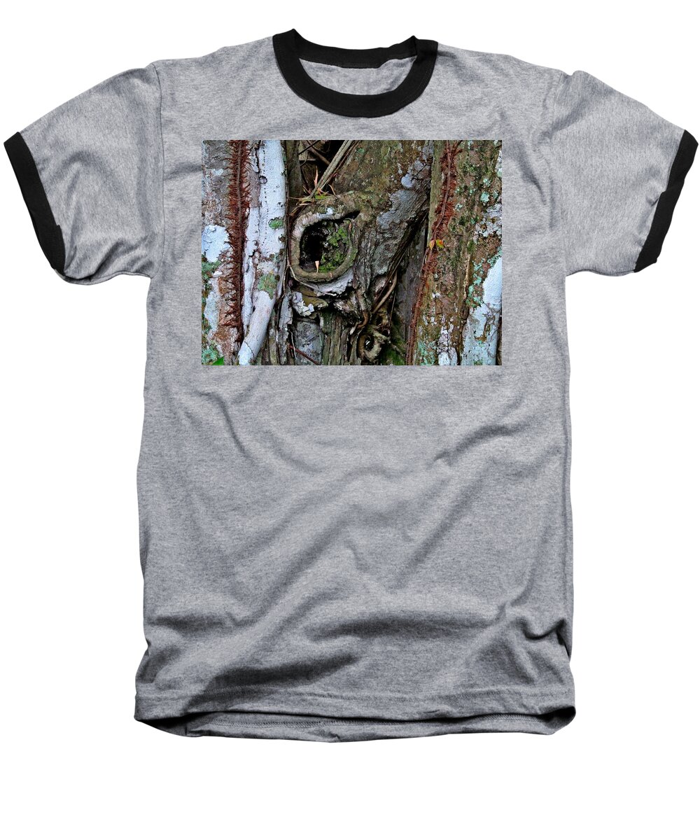 Banyan Trees Baseball T-Shirt featuring the digital art Eyes of Nature by Maria Huntley
