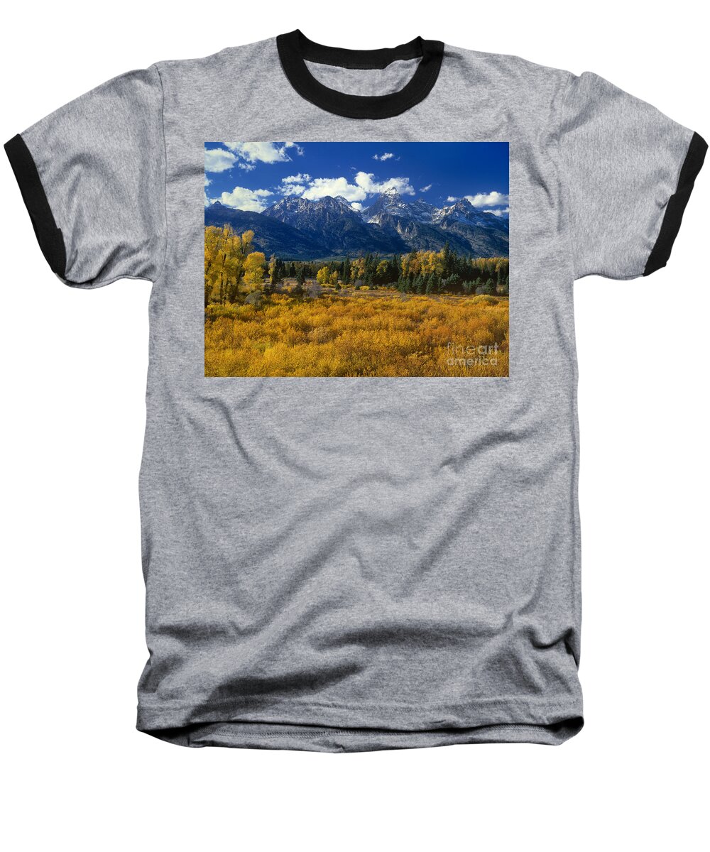 Dave Welling Baseball T-Shirt featuring the photograph Fall Color Tetons Blacktail Ponds Grand Tetons Nationa by Dave Welling