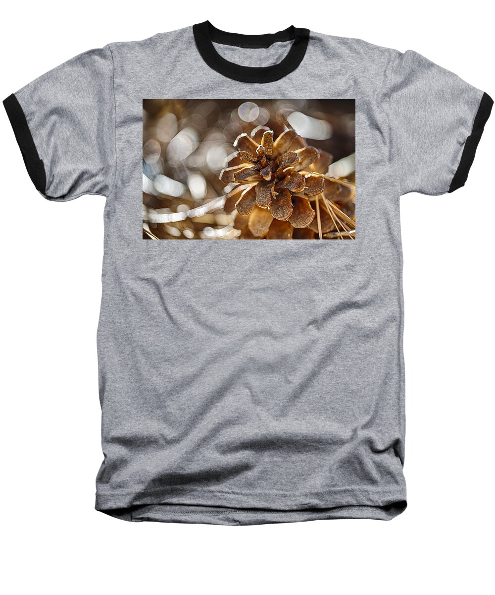 Pinecone Baseball T-Shirt featuring the photograph Fall Hike Up Humber by Scott Campbell