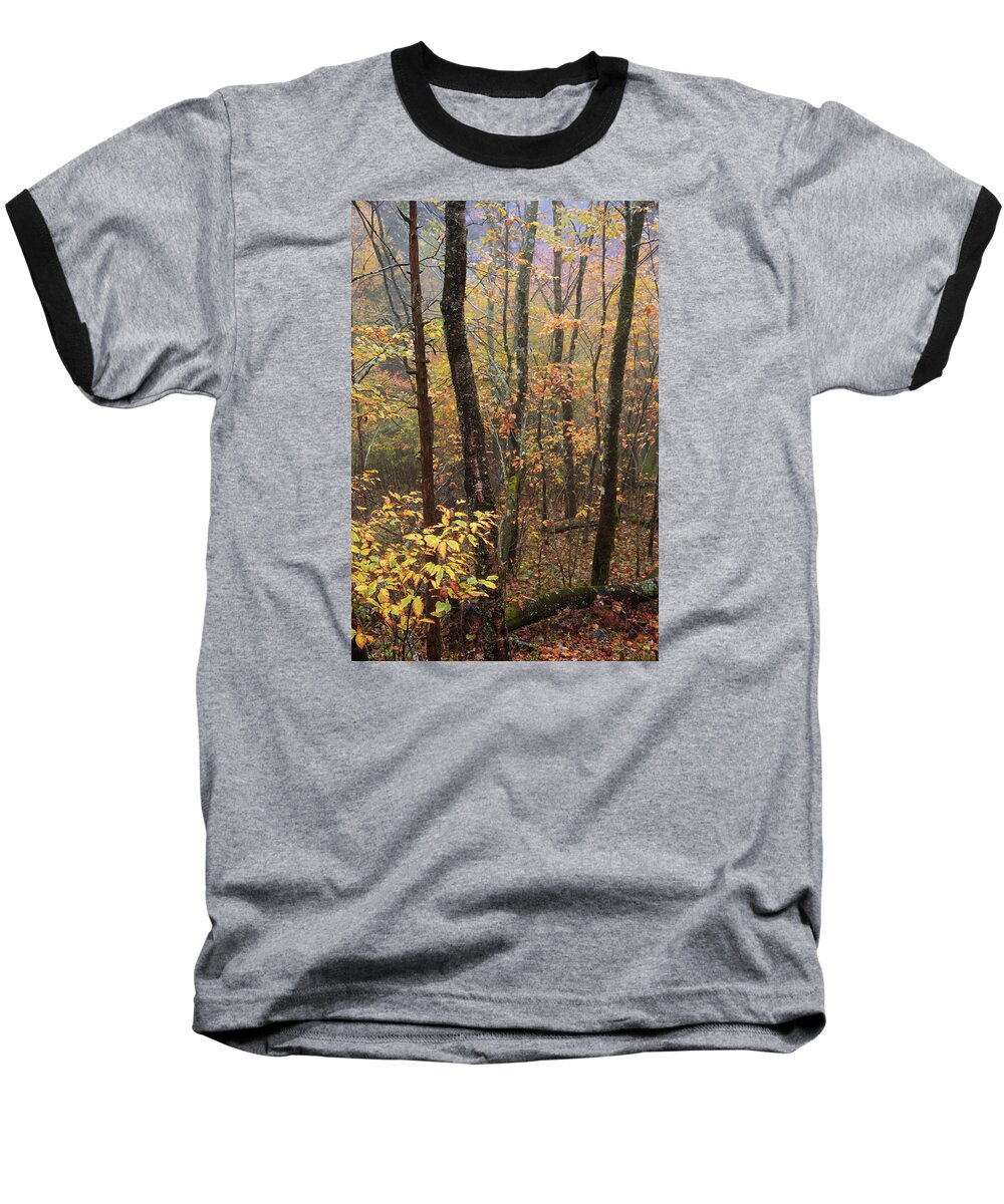 Great Smoky Mountains Baseball T-Shirt featuring the photograph Fall Mist by Chad Dutson
