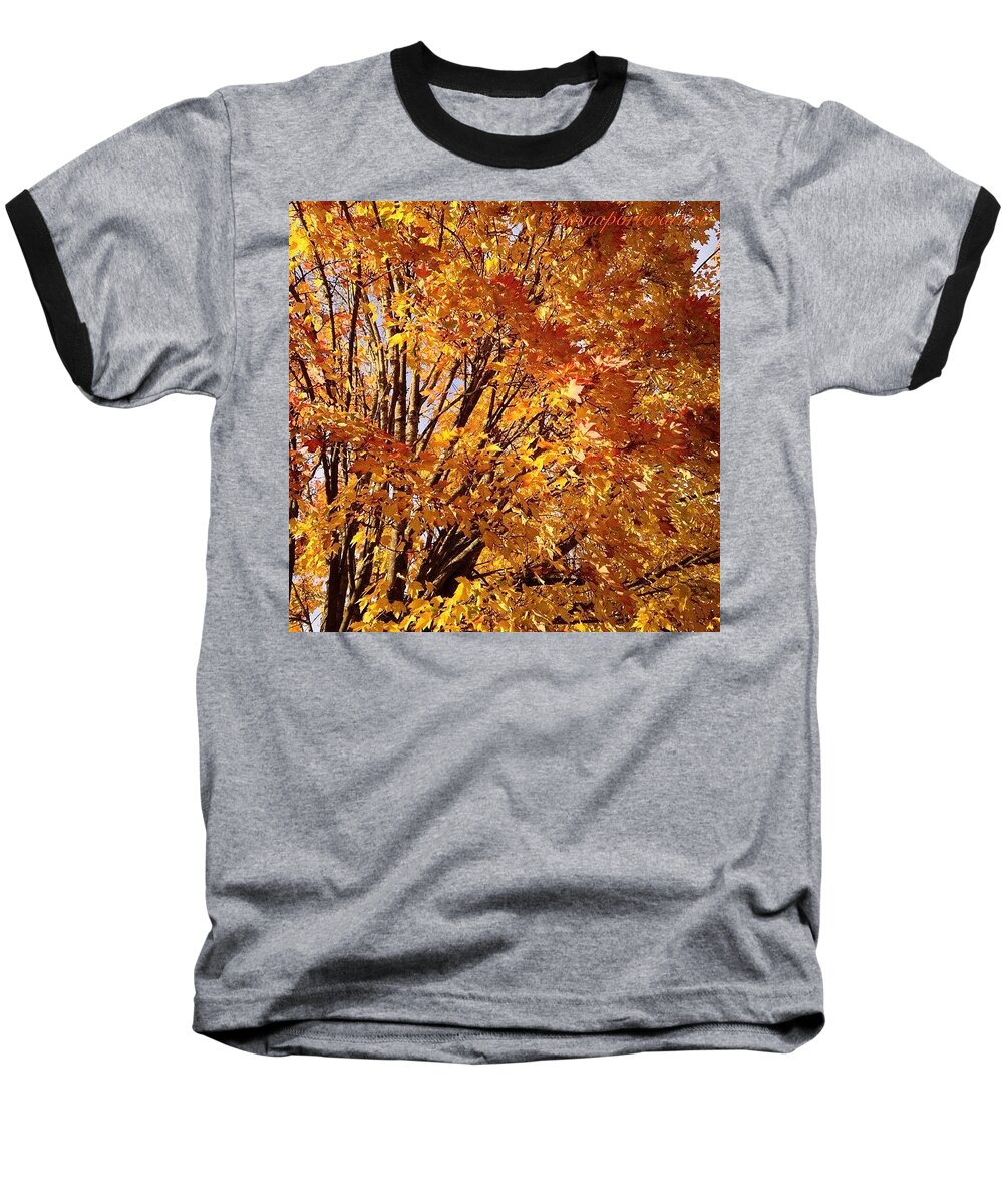 Fall Trees 2 Baseball T-Shirt featuring the photograph Fall Trees II by Anna Porter