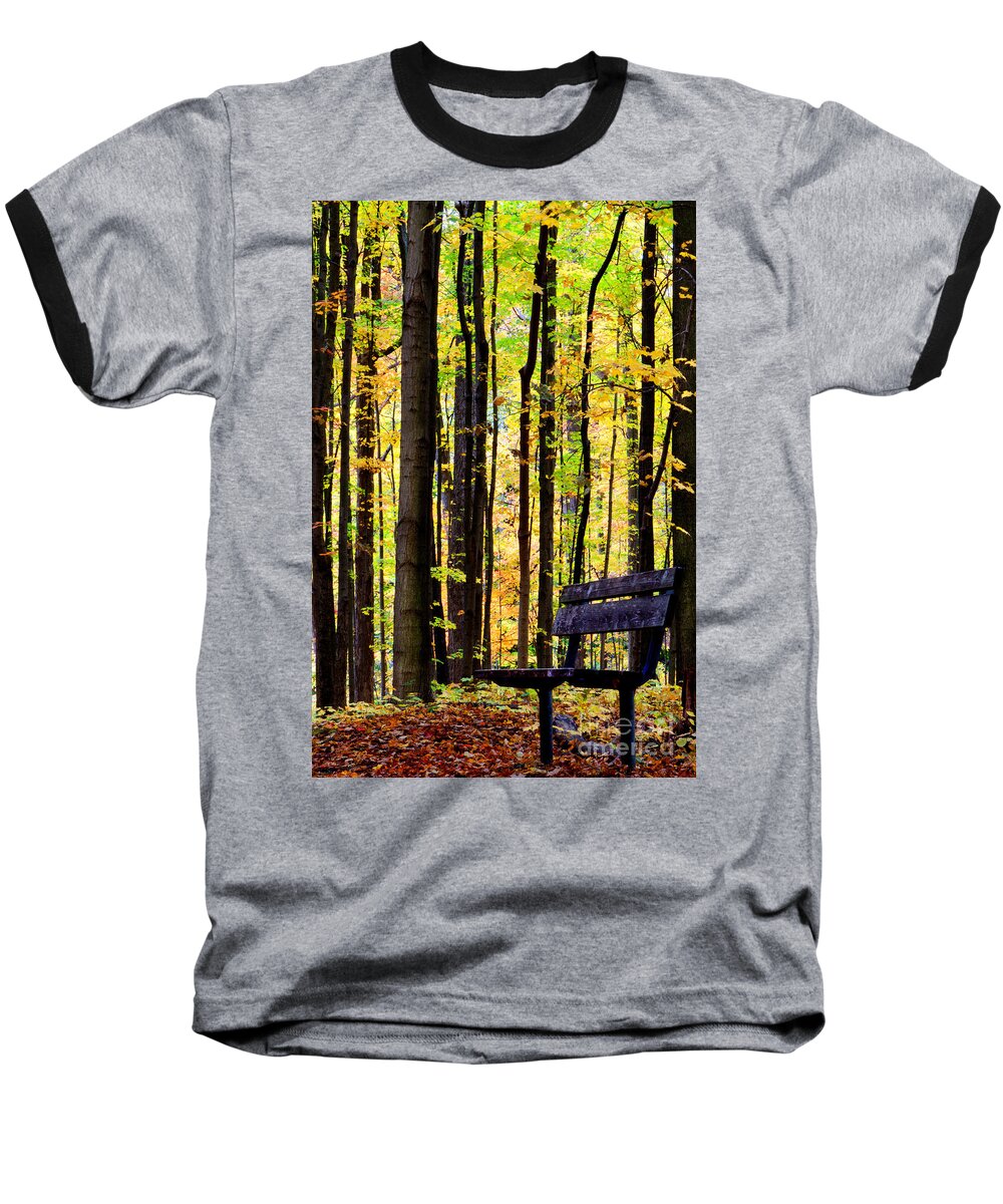 Leaves Baseball T-Shirt featuring the photograph Fall Woods in Michigan by Michael Arend