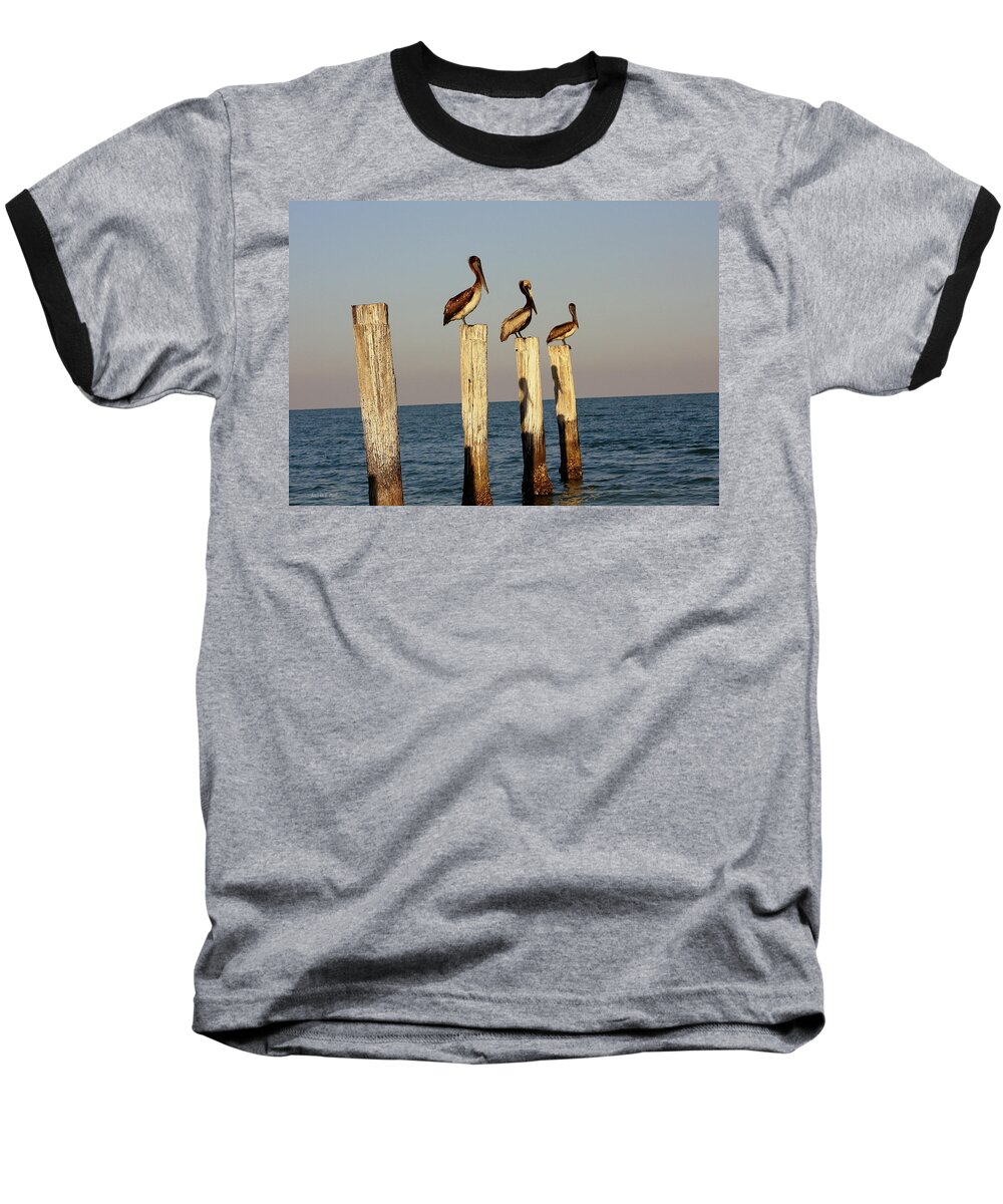 Florida Baseball T-Shirt featuring the photograph Fashionably Late by Andrea Platt