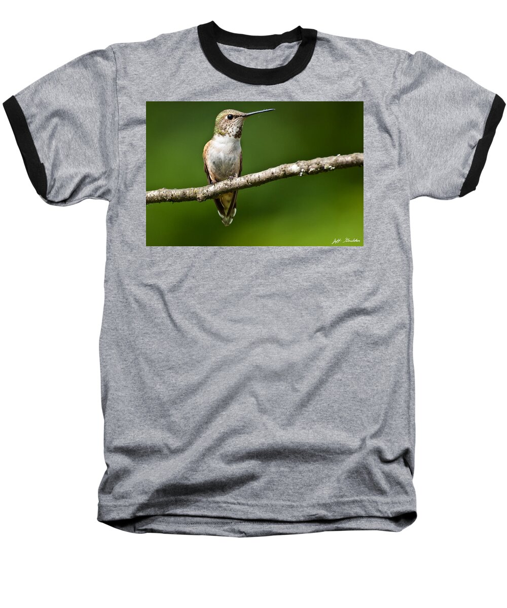 Adult Baseball T-Shirt featuring the photograph Female Rufous Hummingbird in a Tree by Jeff Goulden