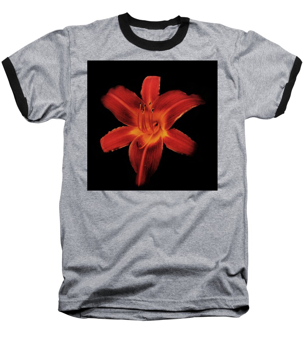 Lily Baseball T-Shirt featuring the photograph Fire Lily by Michael Porchik
