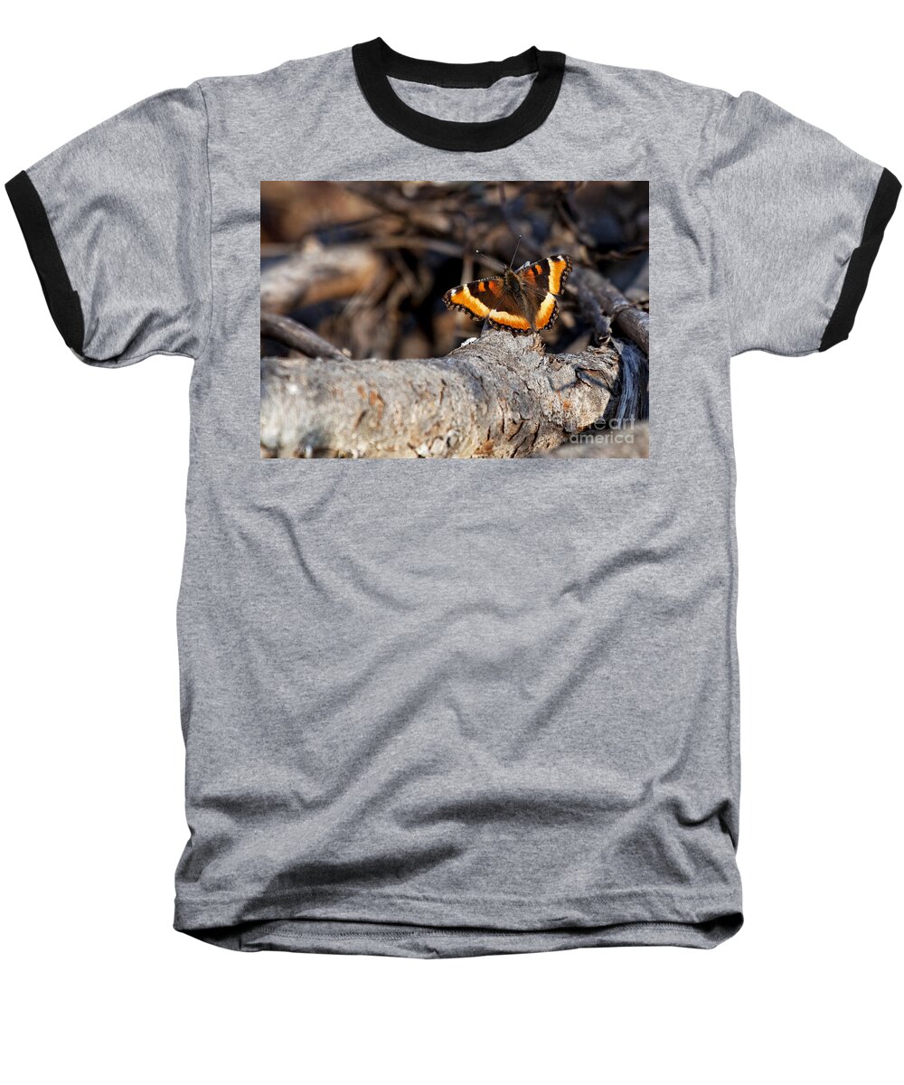 Killian Baseball T-Shirt featuring the photograph First to Wake Up by Jan Killian