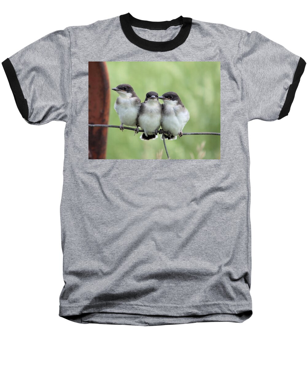 Fledged Baseball T-Shirt featuring the photograph Fledged Siblings by Bonfire Photography