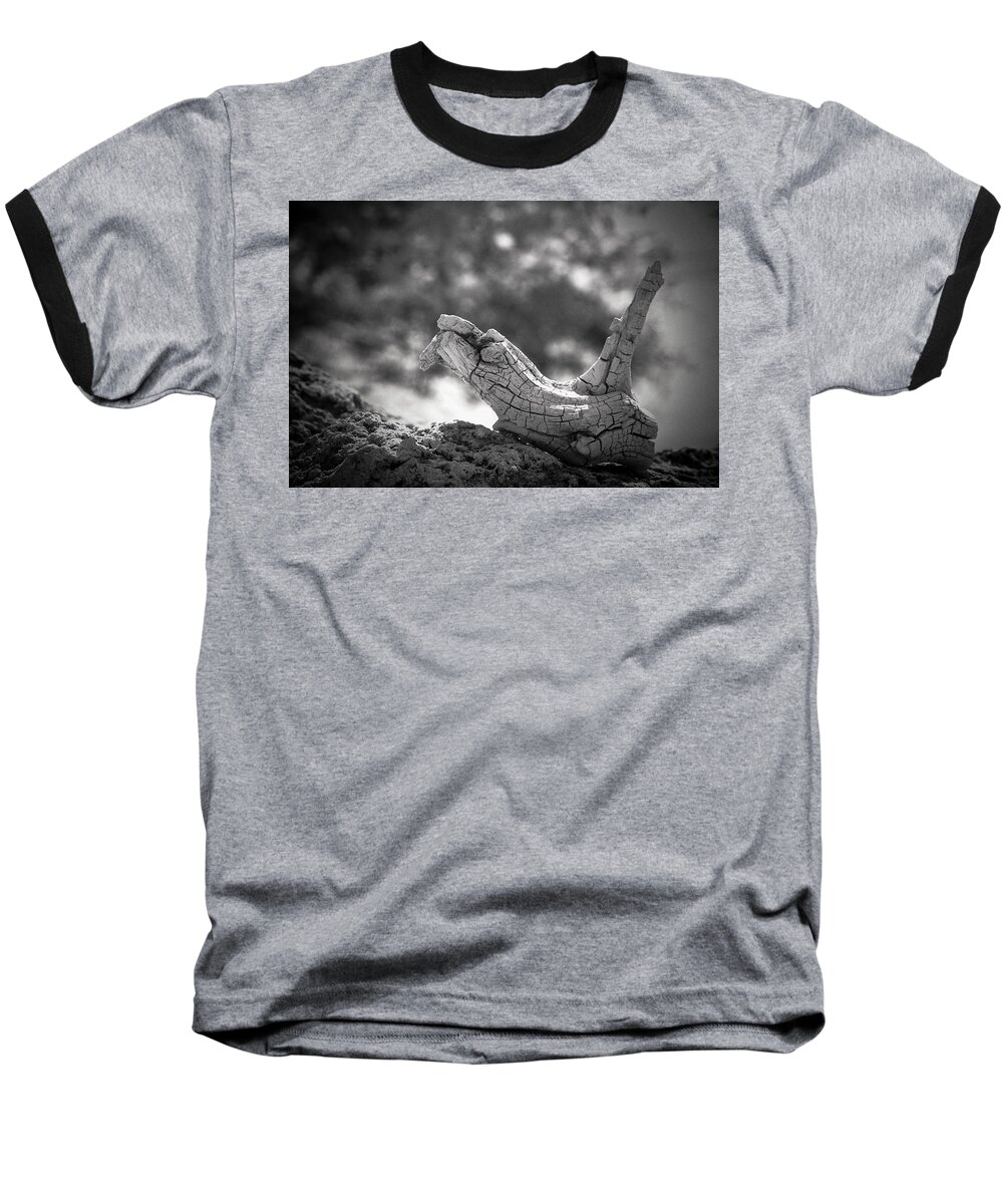 Keys Baseball T-Shirt featuring the photograph Florida Keys Driftwood by Bradley R Youngberg