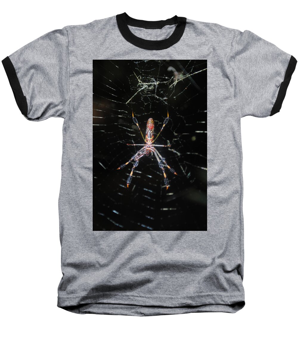 Araneae Baseball T-Shirt featuring the photograph Insect Me Closely by George D Gordon III