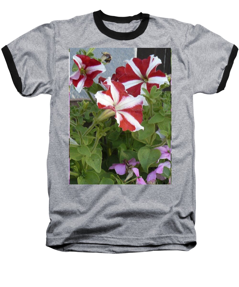 Flowers Baseball T-Shirt featuring the photograph Flower Trios b by Mary Ann Leitch