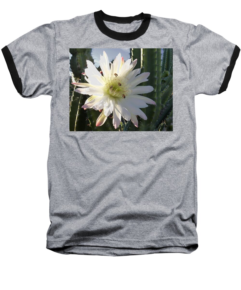 Cactus Baseball T-Shirt featuring the photograph Flowering Cactus 5 by Mariusz Kula