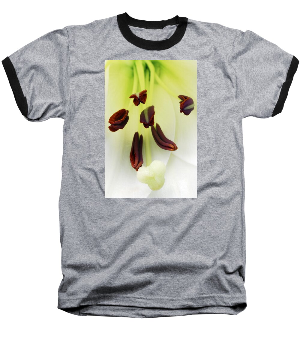 For The Love Of Lilies Baseball T-Shirt featuring the photograph For The Love Of Lilies 1 by Wendy Wilton