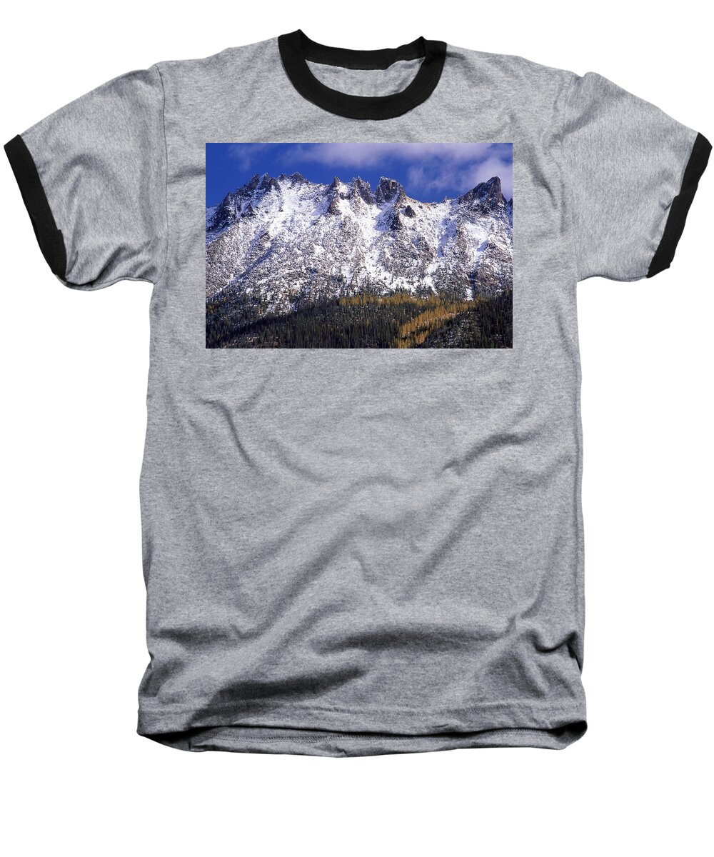 Snow Baseball T-Shirt featuring the photograph Forest Gold by Ginny Barklow