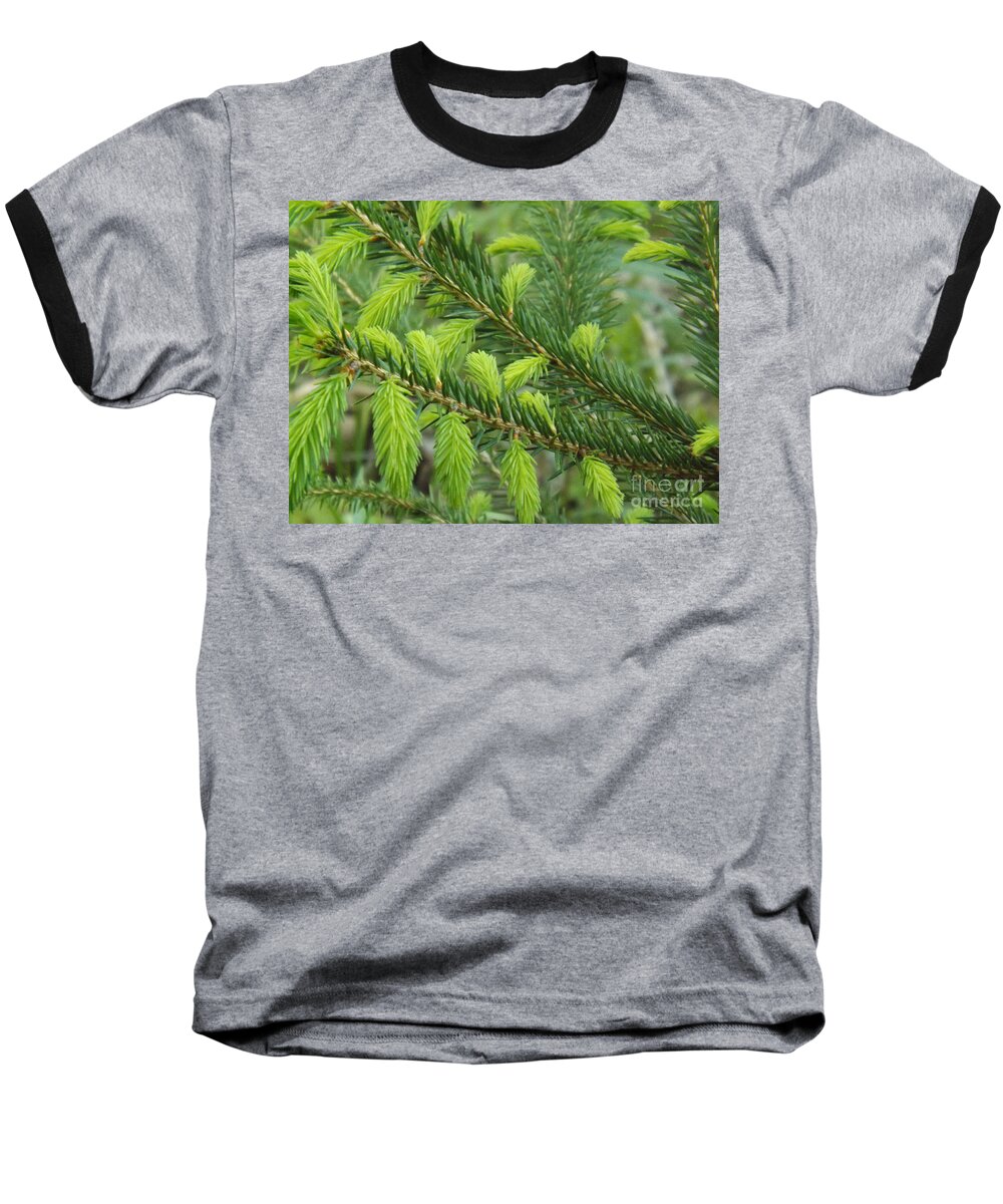 Tree Baseball T-Shirt featuring the photograph Forever Lime Green by Brenda Brown
