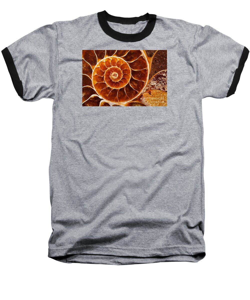 Shell Baseball T-Shirt featuring the photograph Fossil Nautilus by Alice Cahill