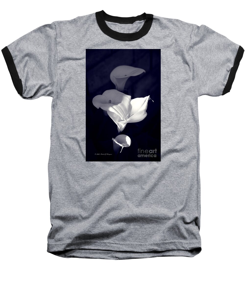 Calla Lily Baseball T-Shirt featuring the photograph Four Calla Lilies In Shade by Richard J Thompson 
