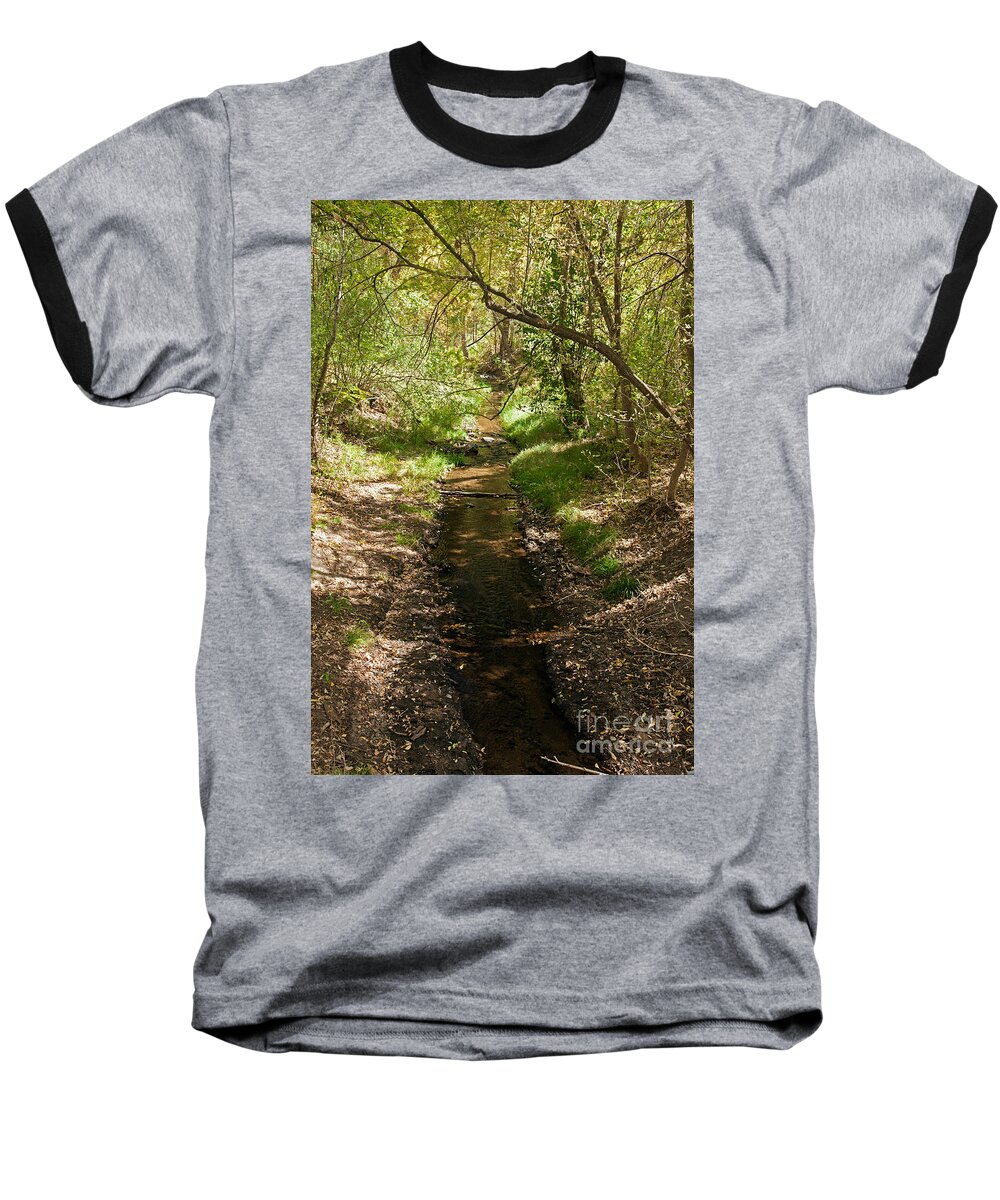 Afternoon Baseball T-Shirt featuring the photograph Frijole Creek Bandelier National Monument by Fred Stearns