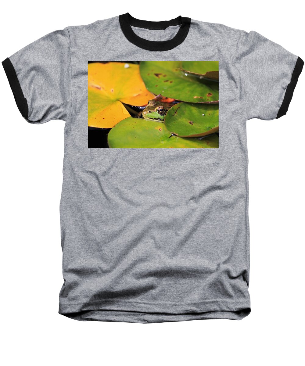 Frog Baseball T-Shirt featuring the photograph Frog Pond 3 by Michael Saunders