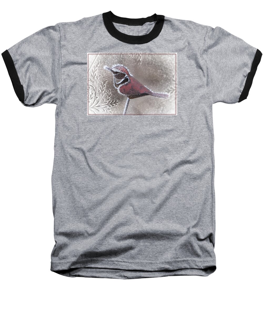 Cardinal Baseball T-Shirt featuring the photograph Frosty Cardinal by Patti Deters