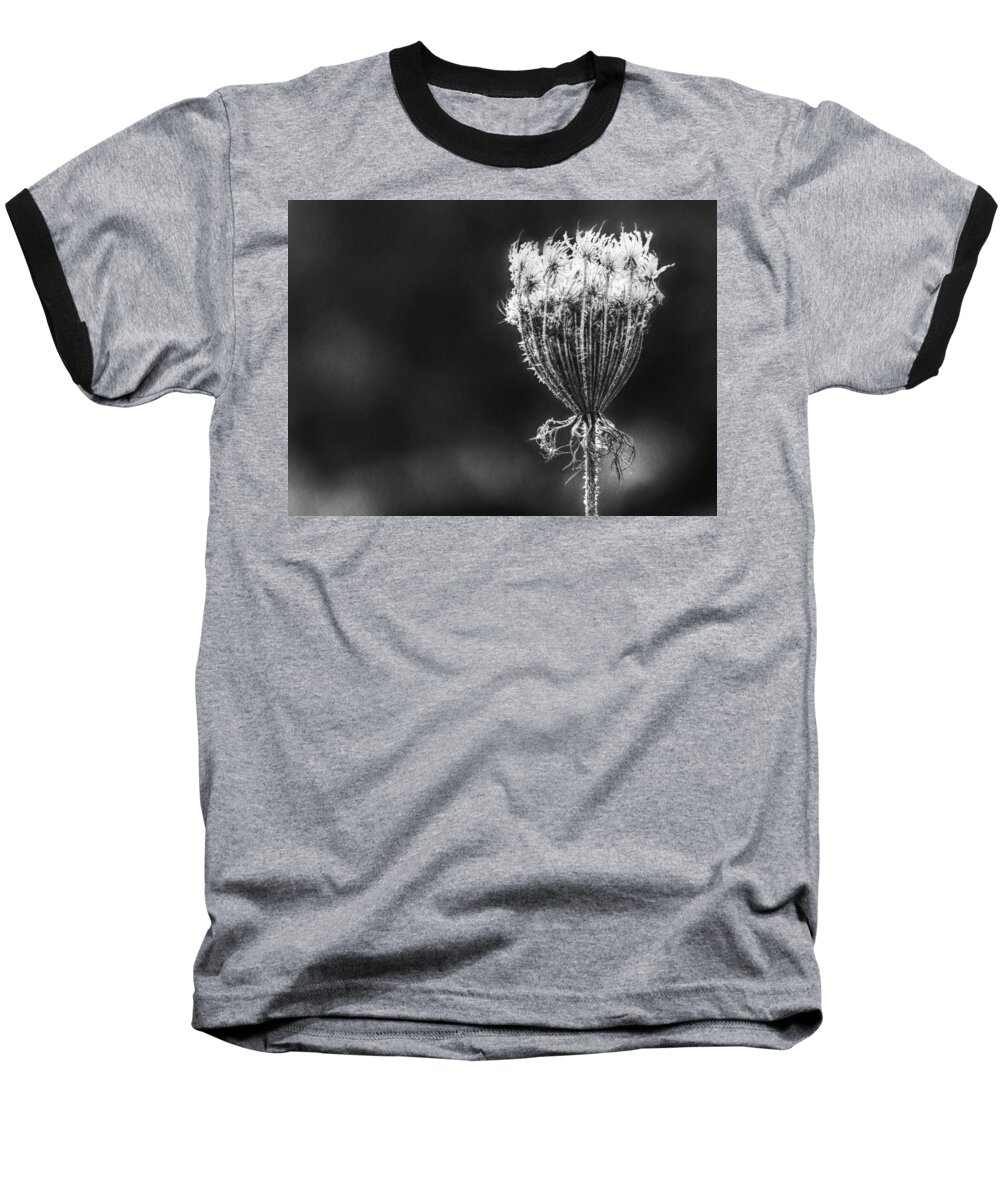 Queen Anne's Lace Baseball T-Shirt featuring the photograph Frozen Queen by Melanie Lankford Photography