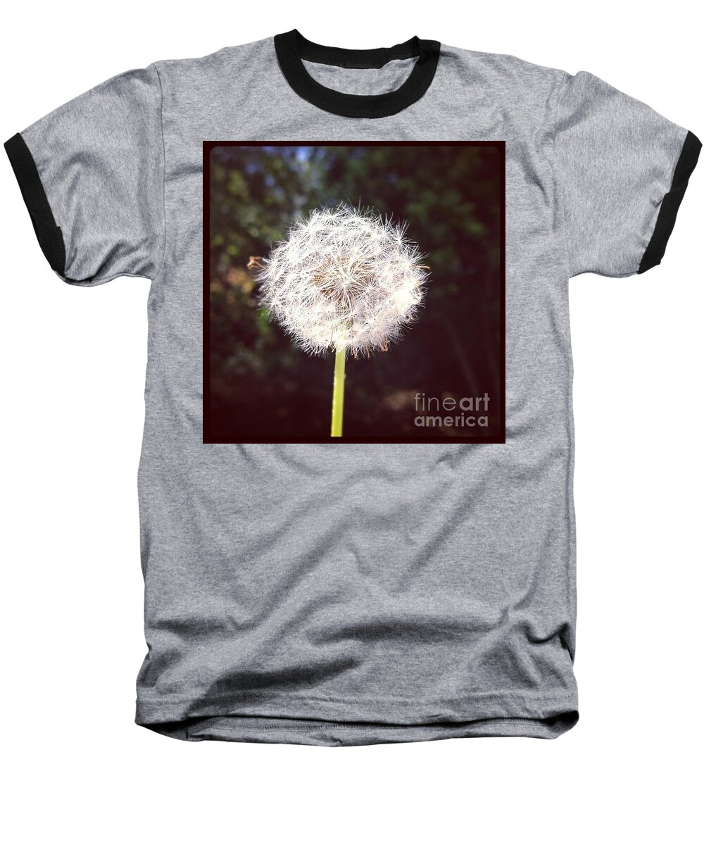 Dandelion Baseball T-Shirt featuring the photograph Fuzzy by Denise Railey