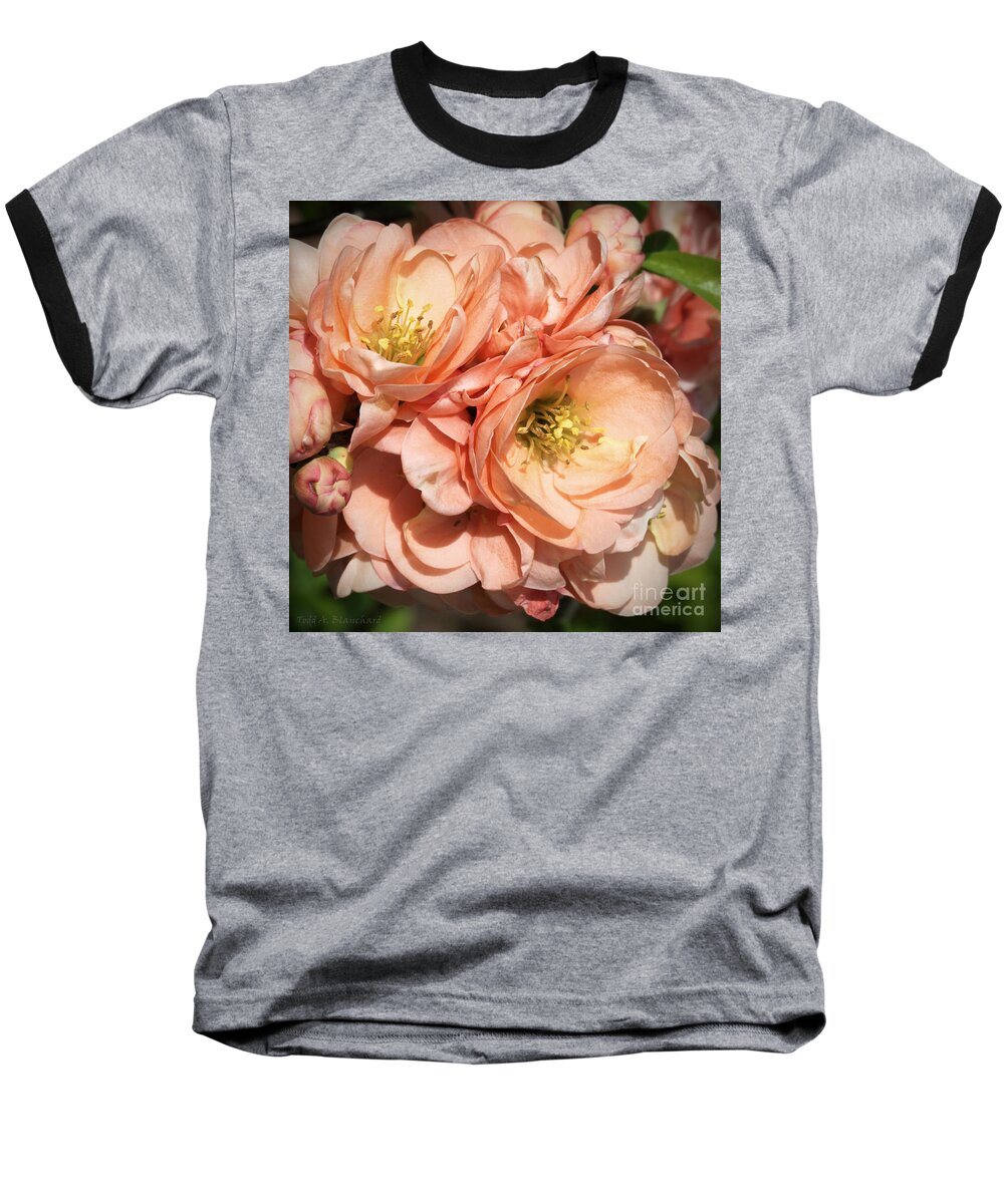 Flowers Baseball T-Shirt featuring the photograph Garden Beauties by Todd Blanchard