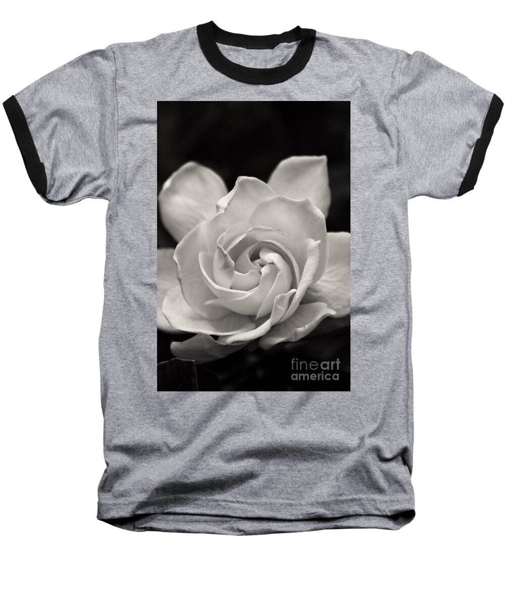 Gardenia Baseball T-Shirt featuring the photograph Gardenia Bloom in Sepia by Jill Lang