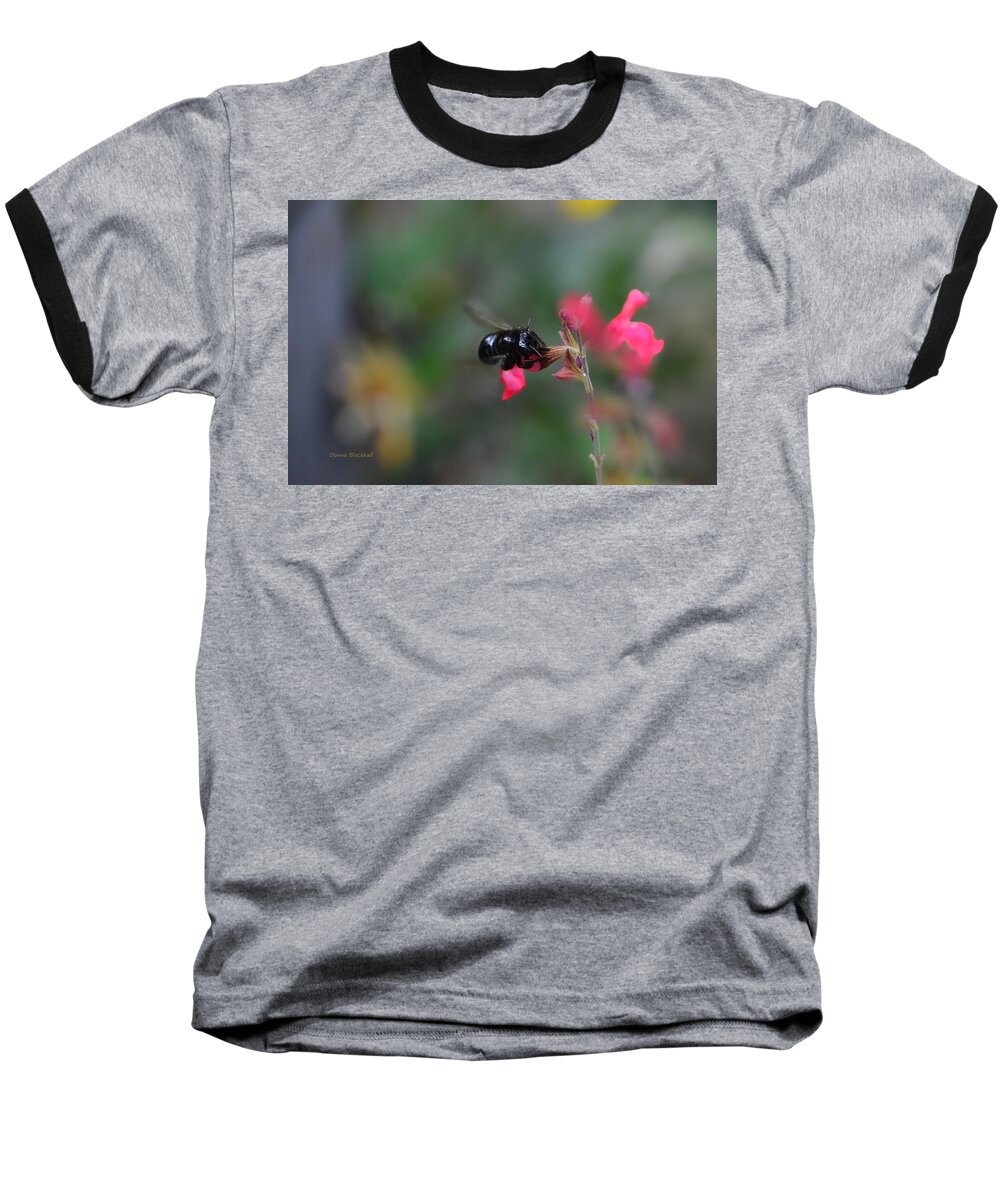 Bee Baseball T-Shirt featuring the photograph Gathering by Donna Blackhall