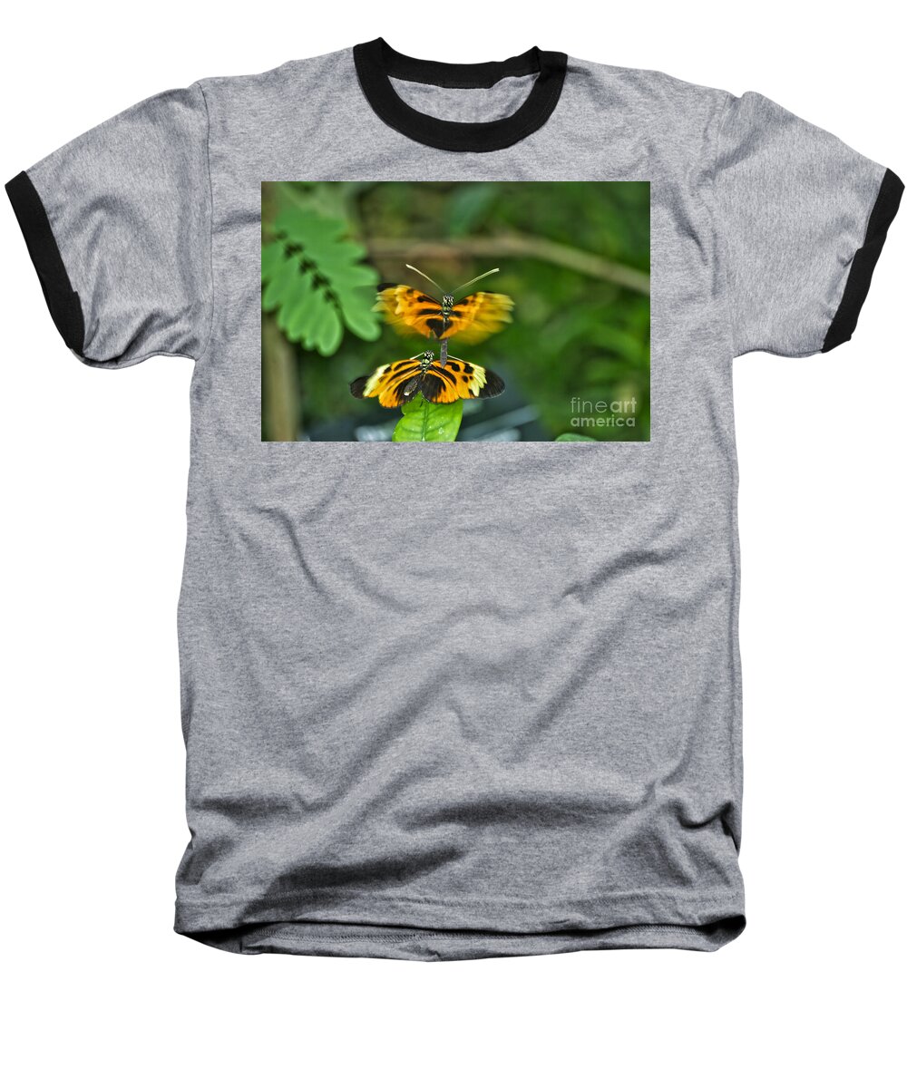 Mating Baseball T-Shirt featuring the photograph Gentle Butterfly Courtship 03 by Thomas Woolworth