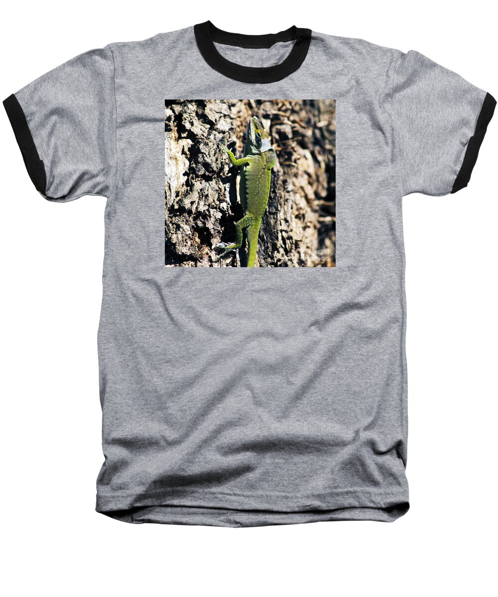 Lizard Photography Baseball T-Shirt featuring the photograph Getting a New Skin II by Patricia Griffin Brett