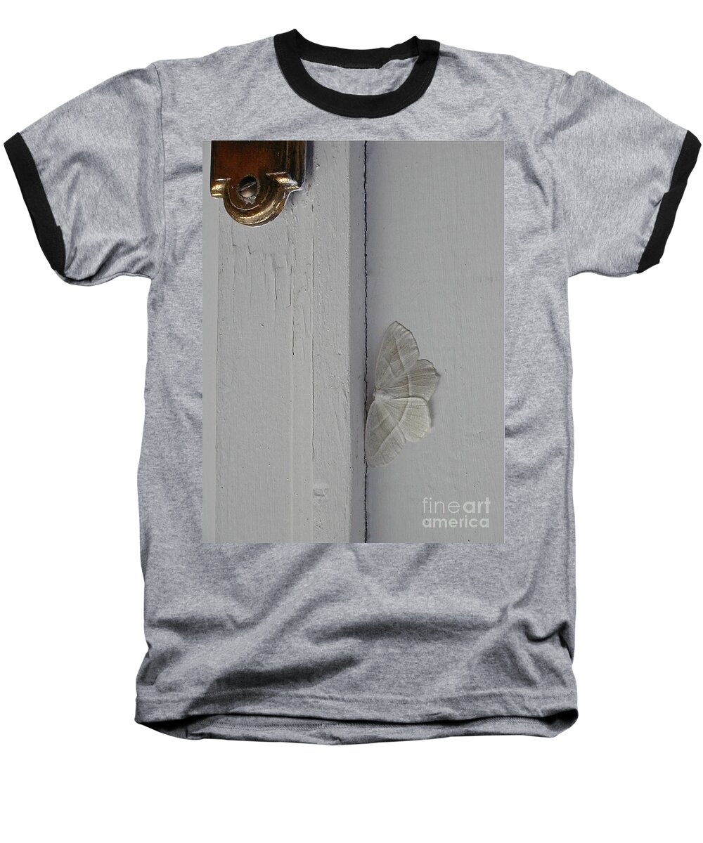 Insects Baseball T-Shirt featuring the photograph Ghost Doorbell Moth by Christopher Plummer