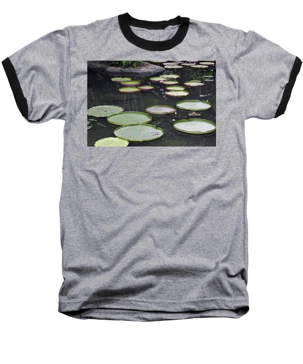 Pond Baseball T-Shirt featuring the photograph Giant Lily Pads by Shoal Hollingsworth