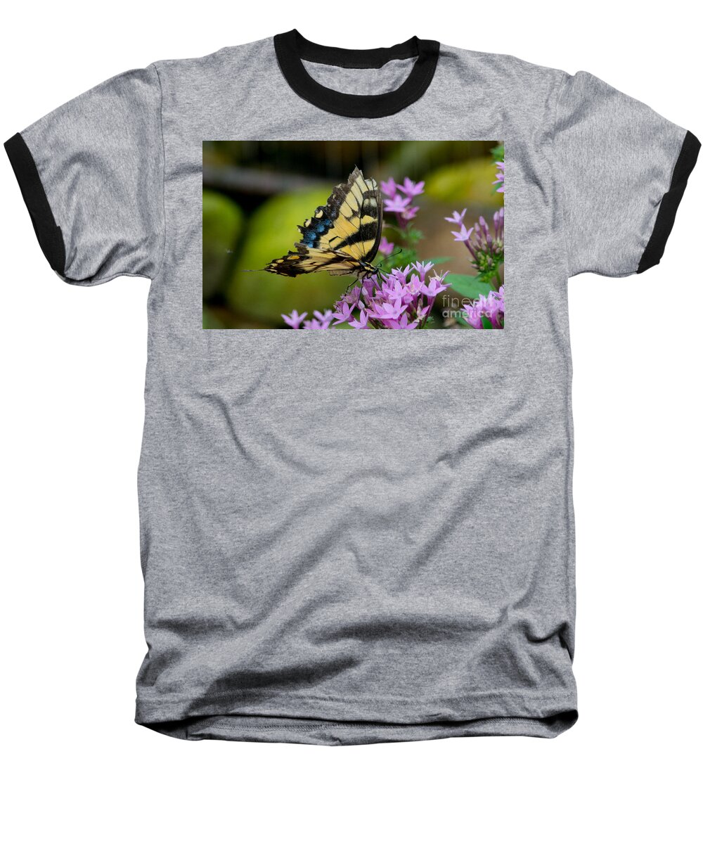 Giant Baseball T-Shirt featuring the photograph Giant Swallowtail by Angela DeFrias
