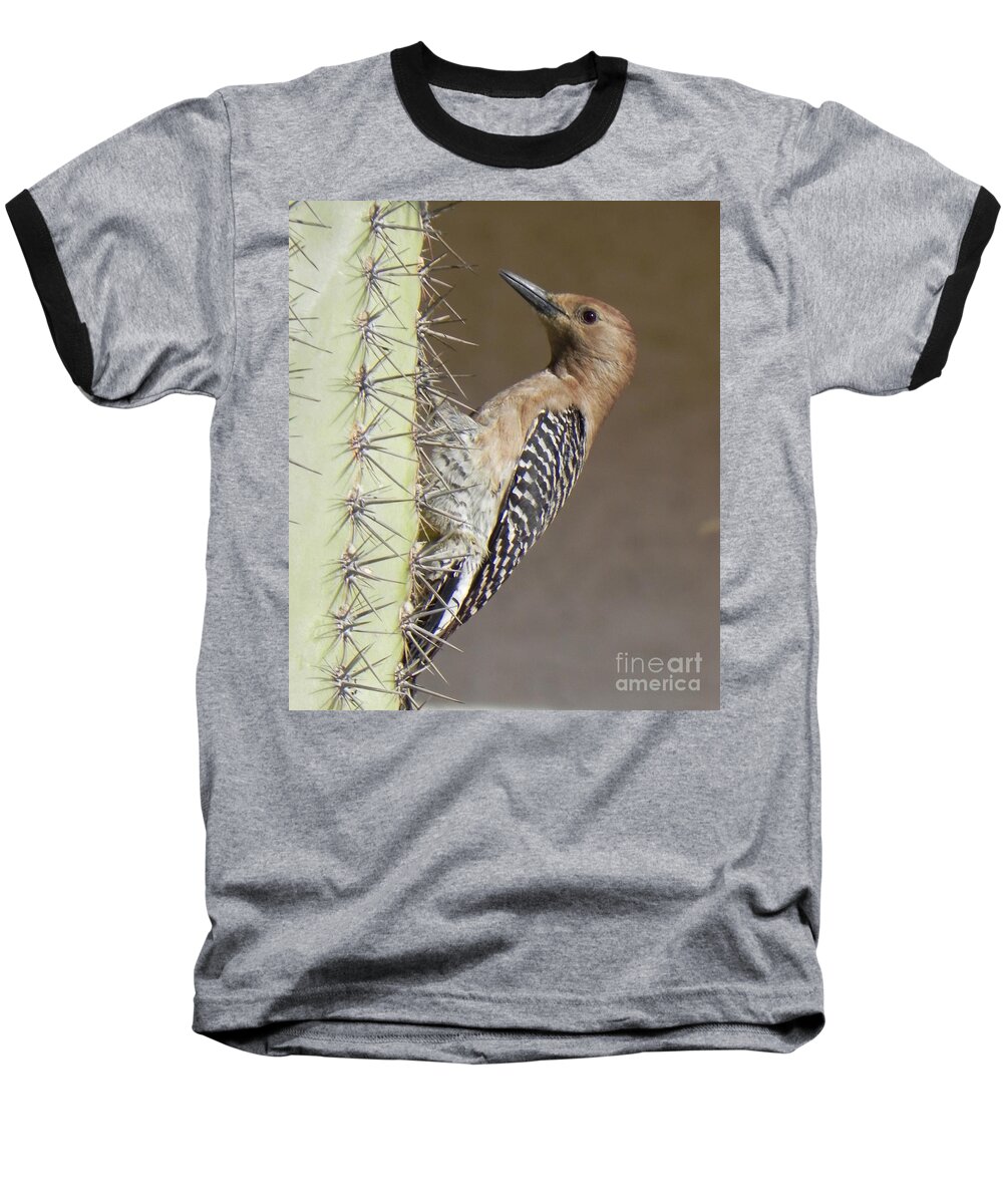 Gila Woodpecker Baseball T-Shirt featuring the photograph Gila Woodpecker by Deb Halloran