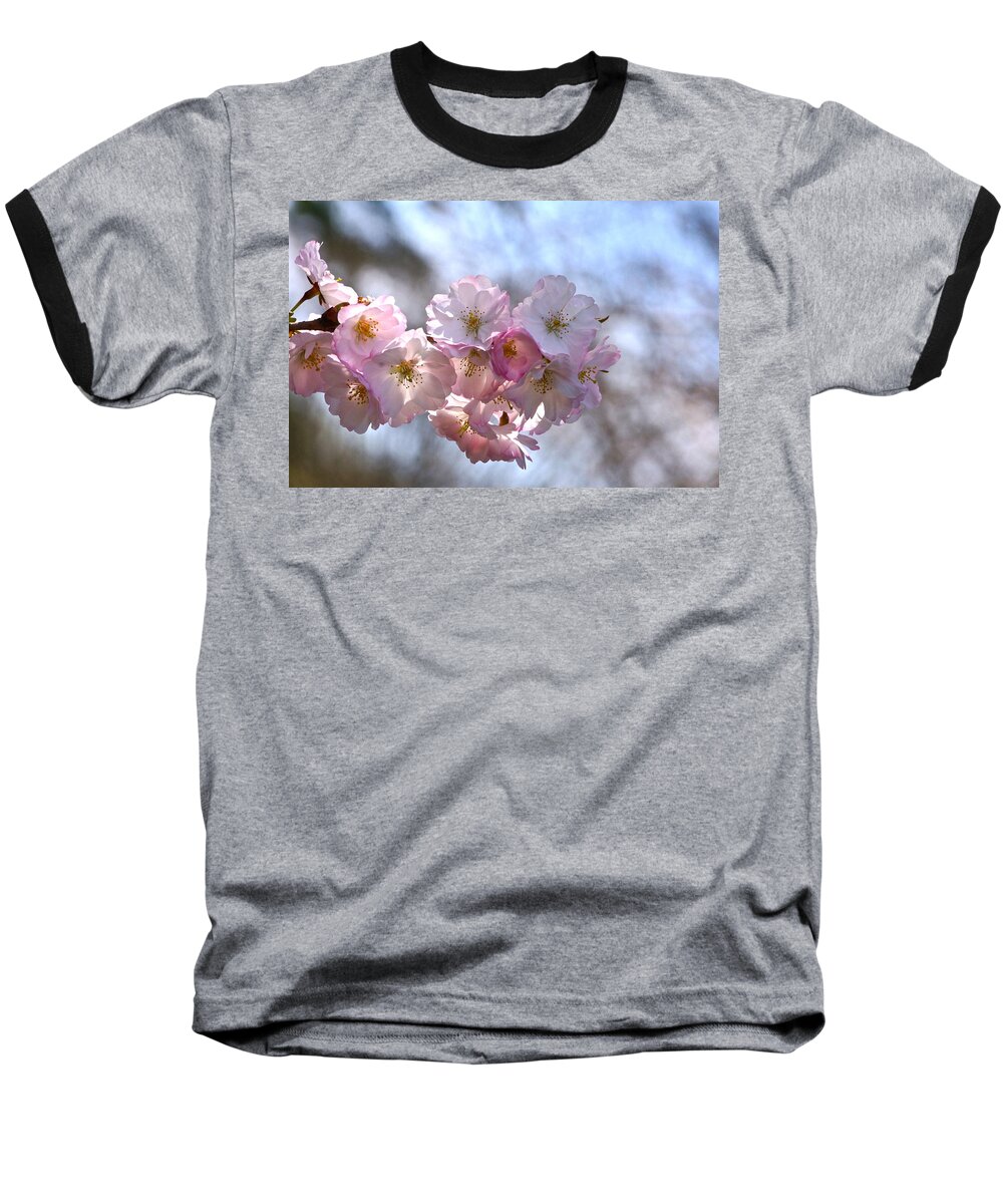 Cherry Blossoms And Heavenly Bokeh Baseball T-Shirt featuring the photograph Giving Thanks by Byron Varvarigos
