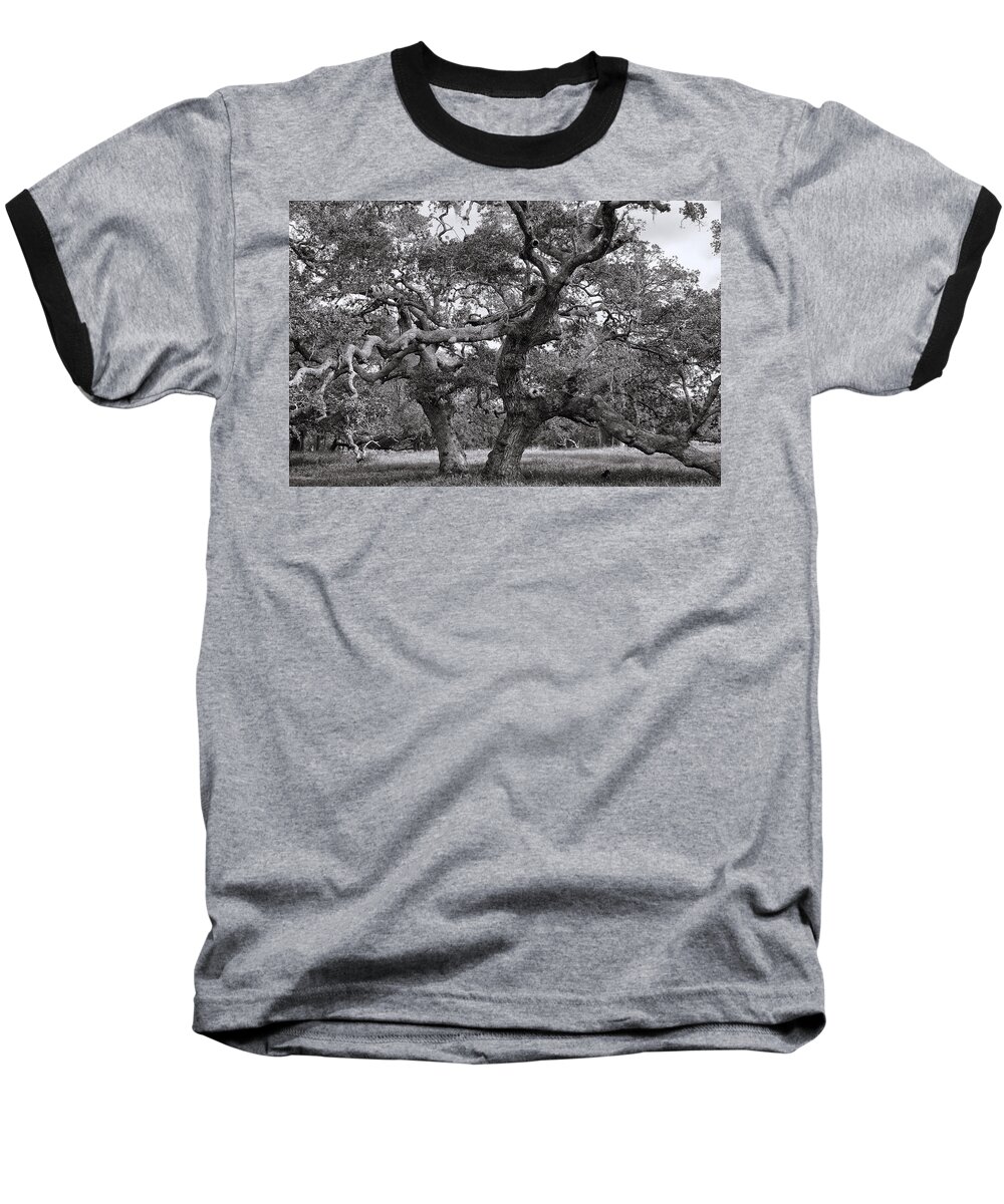Oak Baseball T-Shirt featuring the photograph Gnarly Tree by Daniel George