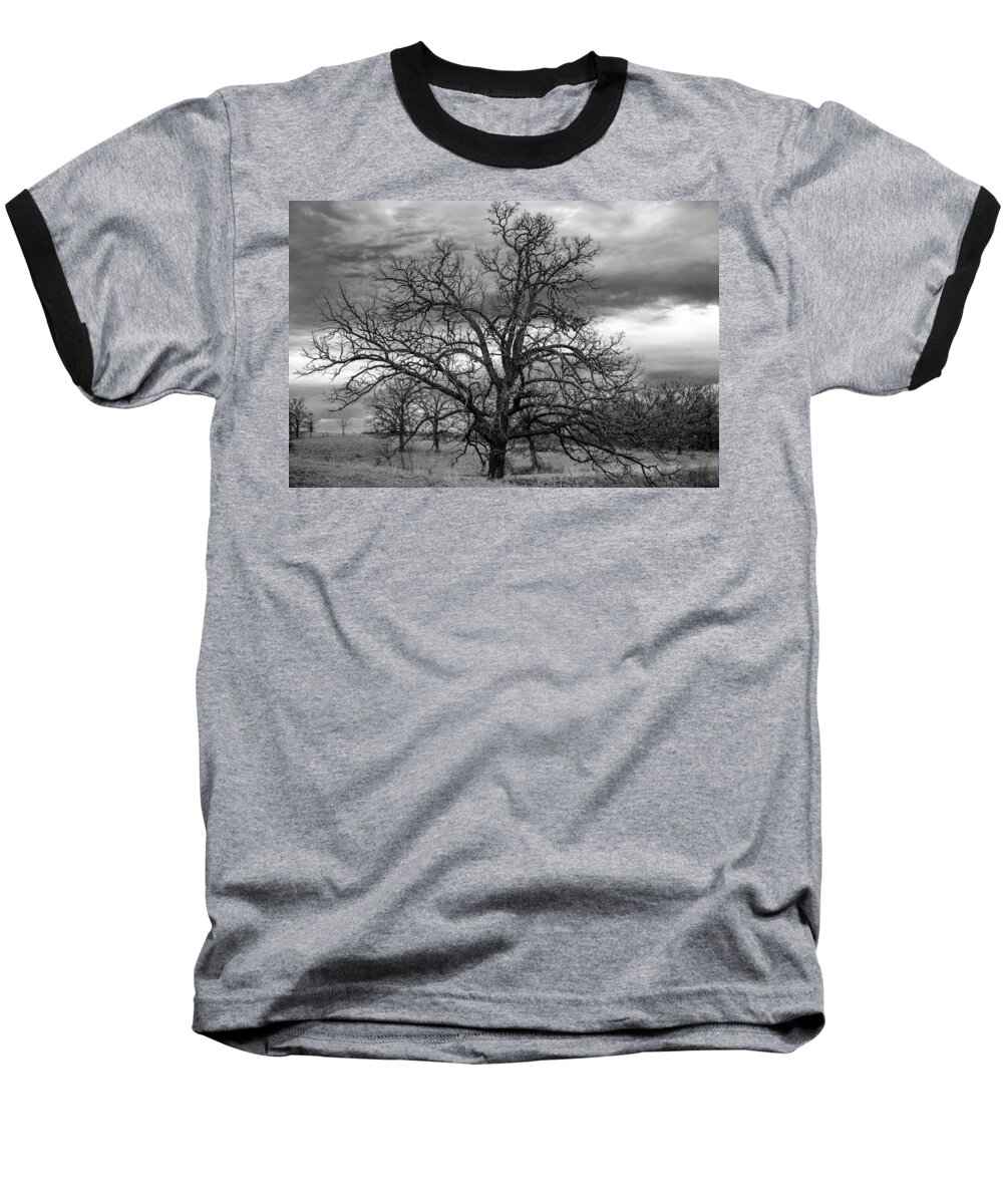 Black And White Baseball T-Shirt featuring the photograph Gnarly Tree by Sennie Pierson