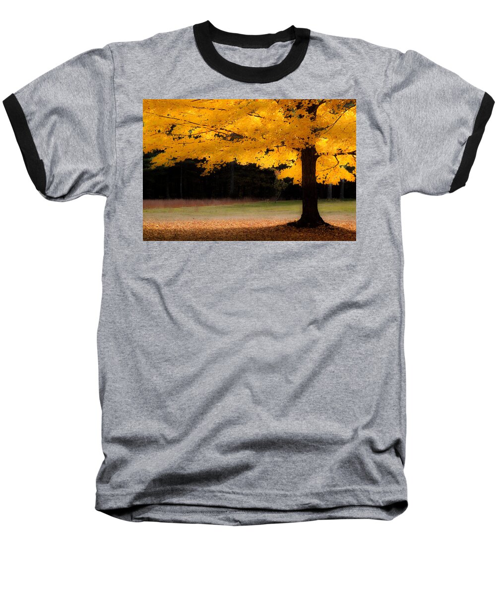 autumn Foliage New England Baseball T-Shirt featuring the photograph Golden glow of autumn fall colors by Jeff Folger