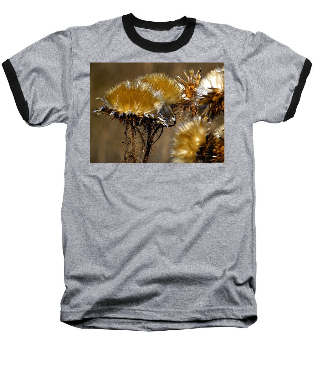 Wild Flowers Baseball T-Shirt featuring the photograph Golden Thistle by Bill Gallagher