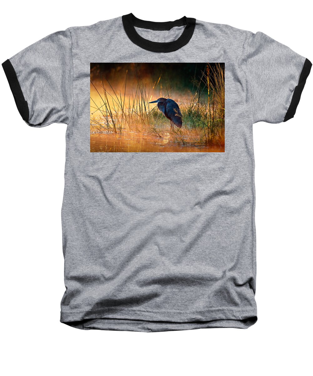 Heron Baseball T-Shirt featuring the photograph Goliath heron with sunrise over misty river by Johan Swanepoel